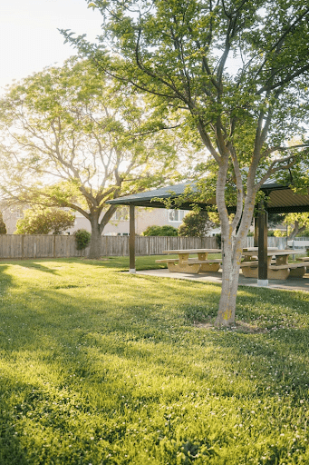 How to Create a Sustainable and Eco-Friendly Yard