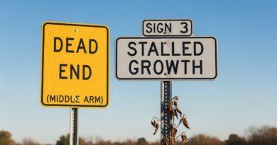 5 Signs Your Online Business Needs Expert Financial Support