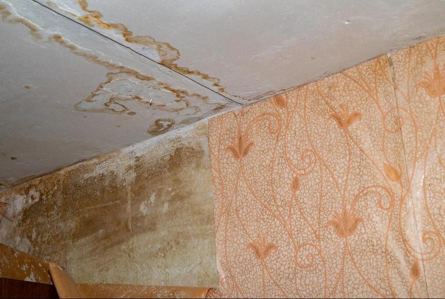 Water Damage