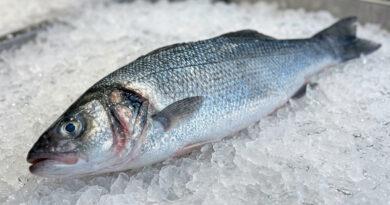 branzino