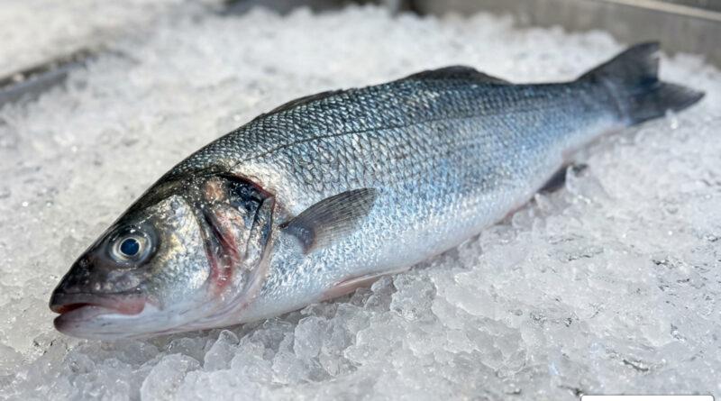 branzino