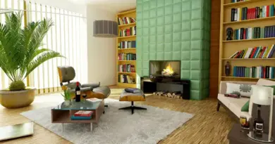 Capturing the Viral Moment: Shortening Development Cycles with Home Décor Product Lifecycle Management