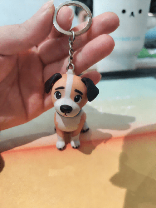SnapFig Figurine Keychain Review: Are These Personalized Photo Accessories Actually Durable?