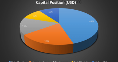 Canford Castle: 2025 Annual Review — Growth Through Precision and Diversification