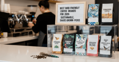 Best Bird-Friendly Coffee Brands for 2026: Sustainable, Shade-Grown Picks