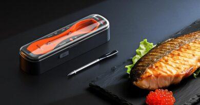 How Does a Meat Thermometer Help Prevent Food Safety Risks?