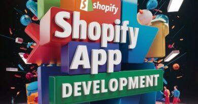 Why Ready-Made Shopify Plugins Are Not Enough to Scaling a Brand Internationally