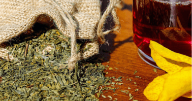 The New Essentials of Modern Botanical Wellness