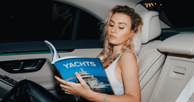 Private Chauffeur in Nice