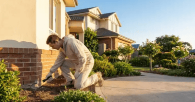 How Pest Control Protects Homes From Seasonal Infestations and Long-Term Damage