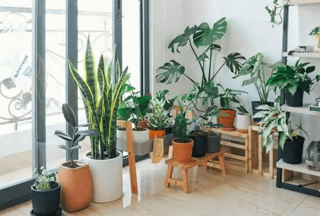 How Clean Indoor Environments Improve Air Quality and Support Healthier Living