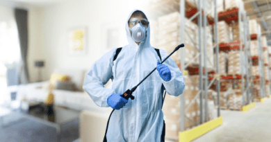 Seasonal Pest Control Planning Strategies for Long-Term Home Protection and Peace of Mind