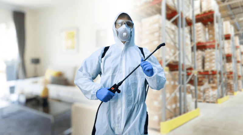Seasonal Pest Control Planning Strategies for Long-Term Home Protection and Peace of Mind