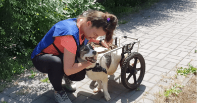 From abandonment to connection – The ROLDA method