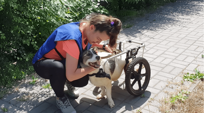 From abandonment to connection – The ROLDA method