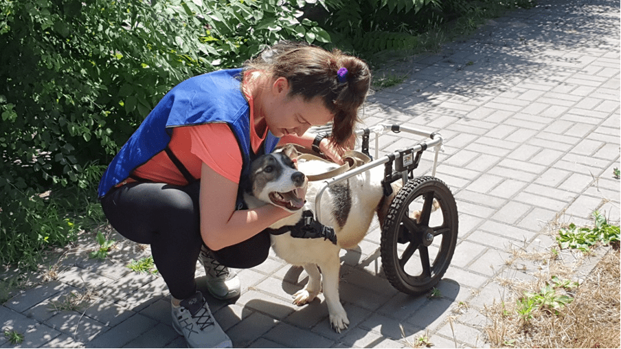 From abandonment to connection – The ROLDA method