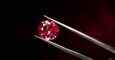 Why Established Companies Are Still Investing in Ruby on Rails Development
