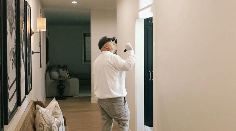 How Preventive Property Inspections Help Protect Homes and Reduce Long-Term Pest Risks