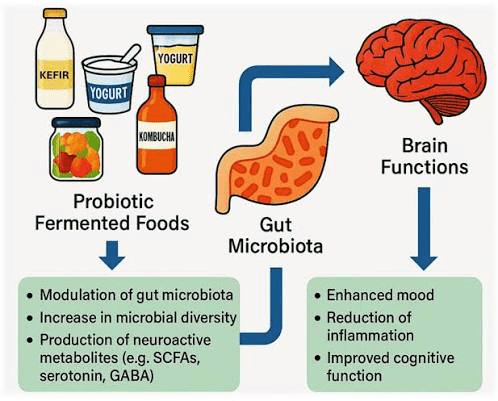 Exploring the Benefits of Different Probiotic Strains
