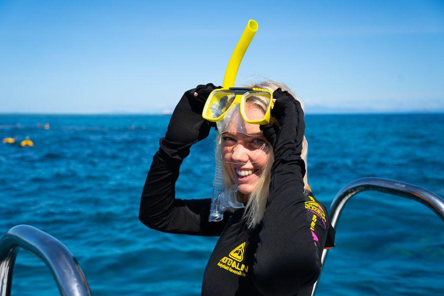7 Features to Compare Before Buying Stinger Suits