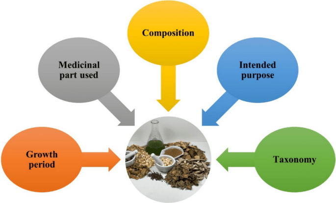 How Regulations Are Shaping The Future Of Herbal Products
