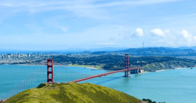 The SF Peninsula's Hidden Treasures