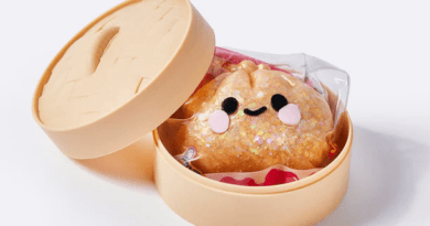 Rare Dumpling Squishies: The Collectible Toy Trend Worth Knowing About