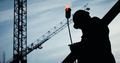 What Alberta Employees Should Know About Their Workplace Rights