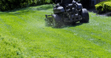 The 4 Best Landscaping Companies in Toronto