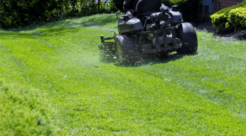 The 4 Best Landscaping Companies in Toronto