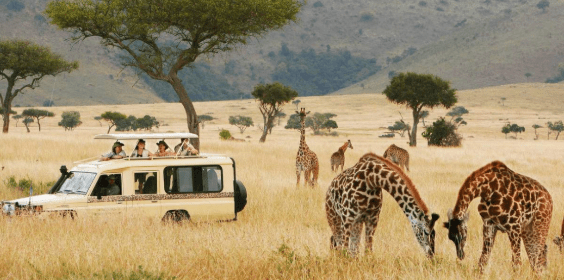 African Safari Packages