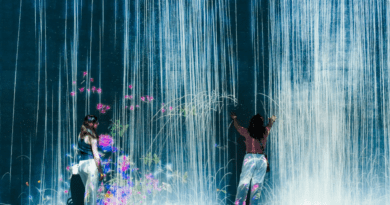 How Immersive Exhibitions Worldwide Are Shaping Contemporary Culture