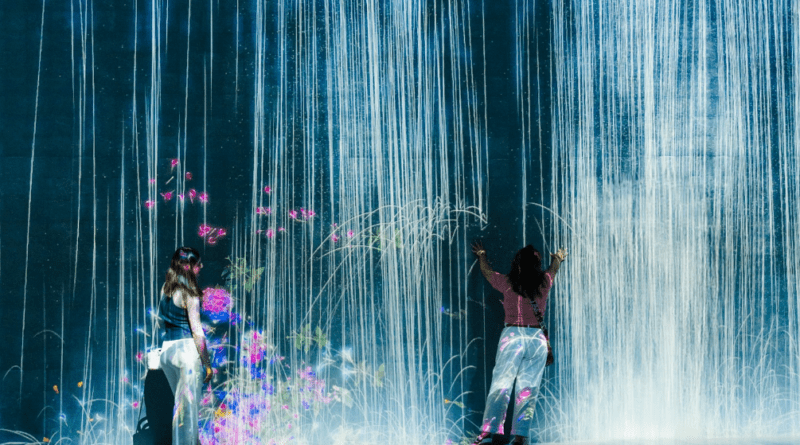 How Immersive Exhibitions Worldwide Are Shaping Contemporary Culture