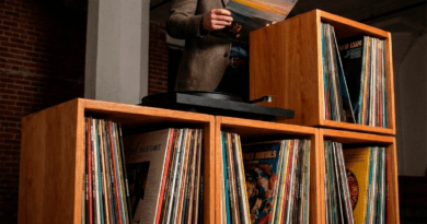 The Importance of Vinyl Storage Solutions