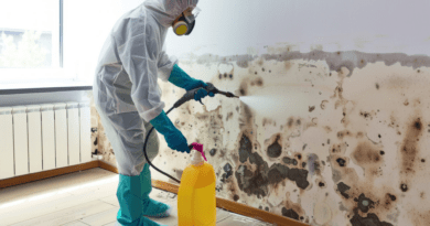 Can Mold Remediation Treat All Types of Mold?