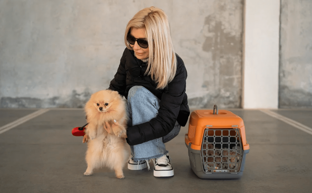 Smarter Travel and Happier Pets With a Little Help From Technology