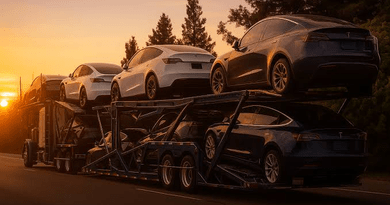 VIN Checks Every Buyer Needs When Importing a Car From a U.S. Auto Auction