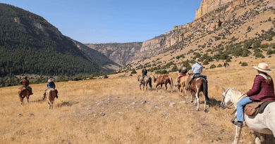 What Should Travelers Look for in a Ranch Lodge?