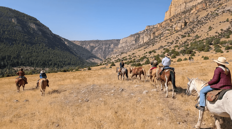 What Should Travelers Look for in a Ranch Lodge?