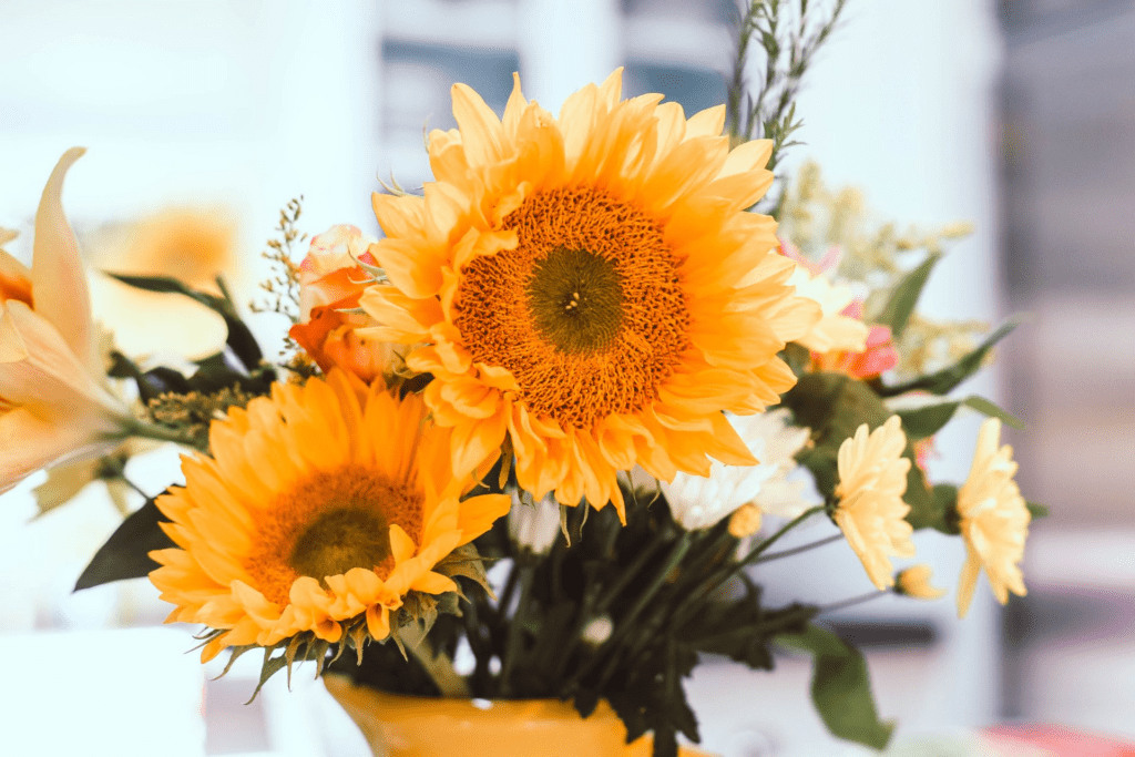 Seasonal Splendor: Why Choosing In-Season Flowers Makes the Most Memorable Impression