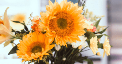 Seasonal Splendor: Why Choosing In-Season Flowers Makes the Most Memorable Impression