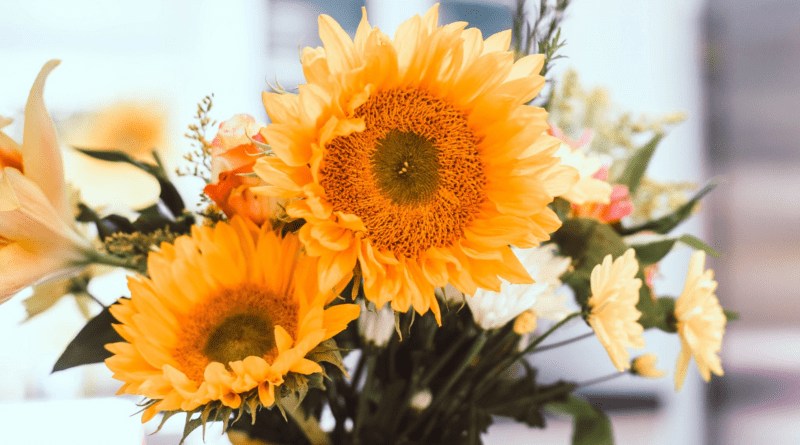 Seasonal Splendor: Why Choosing In-Season Flowers Makes the Most Memorable Impression