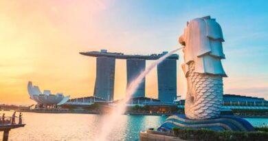 Singapore Cultural Tour