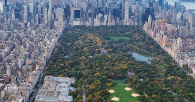 Central Park aerial view