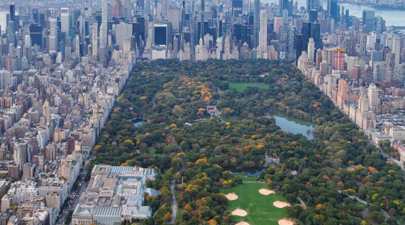 Central Park aerial view