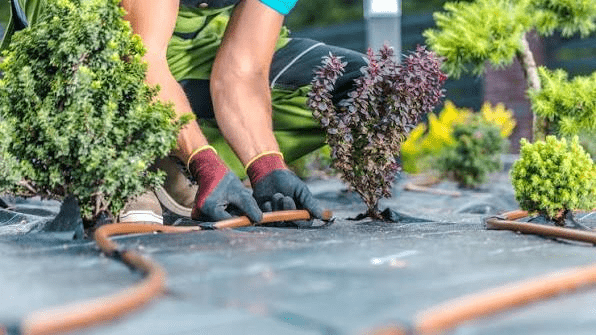 Irrigation Repair: Essential Solutions for a Healthy and Efficient Landscape