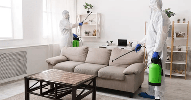 Essential Strategies for Preventing Infestations and Maintaining a Clean, Healthy Home