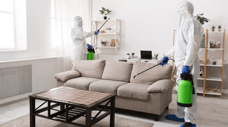 Essential Strategies for Preventing Infestations and Maintaining a Clean, Healthy Home