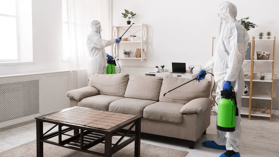 Essential Strategies for Preventing Infestations and Maintaining a Clean, Healthy Home