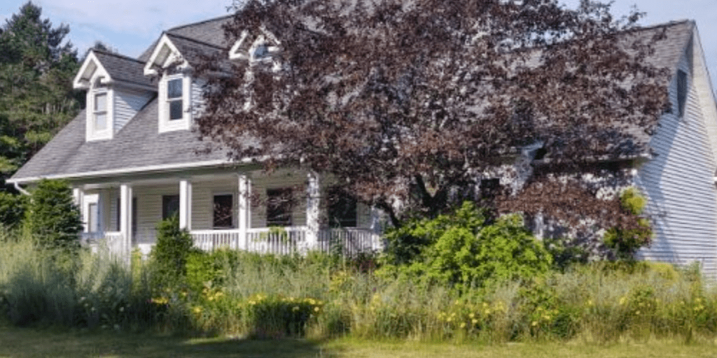 Everything You Need to Know About Brush Removal for Better Property Care, Landscape Management, and Outdoor Maintenance